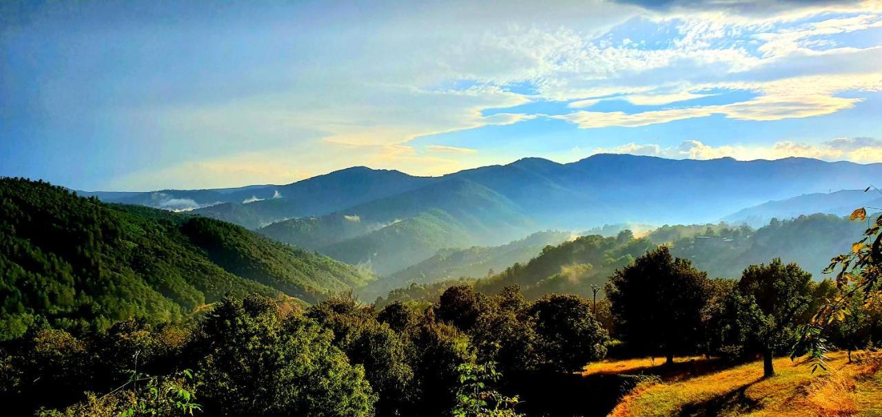 La Grange - Chez Gisi - Fuer Naturliebhaber, Abenteurer Und Geniesser Rocles  Экстерьер фото